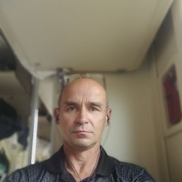 , 53, 