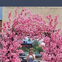 ���� ����, ������, 52 ���� - ��������� 19 ������� 2026 � ������ ���� ����������