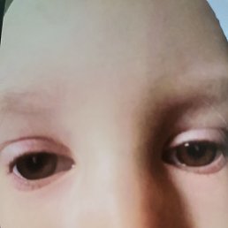 ����, �����������, 28 ���