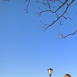 ����, �������, 38 ���