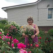 ������, 68 ���, �������