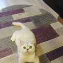 ���� �����, �����������, 39 ��� - ��������� 10 ������ 2025 � ������ ���� ����������