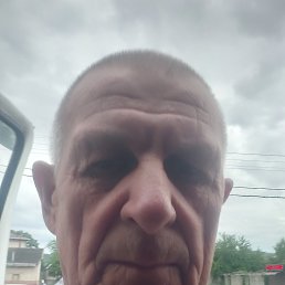 , 65, 