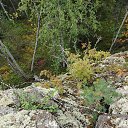 ���� �����, �������, 28 ��� - ��������� 3 ����� 2026 � ������ ������ ��������