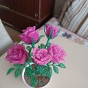 ���� ��������, �����-���������, 67 ��� - ��������� 6 ������� 2025 � ������ ���� ����������