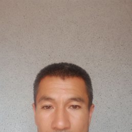 , 44, 