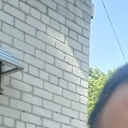 ���������, ������, 50 ���