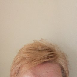 , 61, 