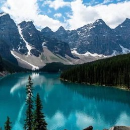 ������, �����, 44 ����