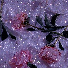 ���� ������, ��������, 35 ��� - ��������� 18 ������ 2026