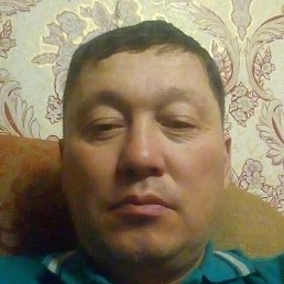 �����, �������, 46 ���