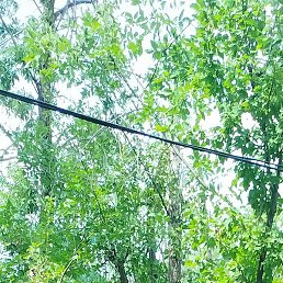 �����, ������, 30 ���