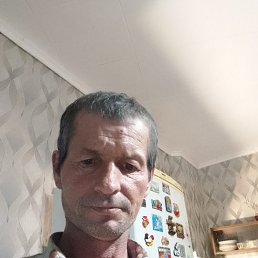 , 43 , 