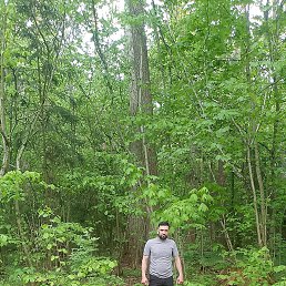 ���� ��������, �����, 25 ��� - ��������� 22 ��� 2025