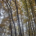 ���� �������, ������, 51 ��� - ��������� 29 ������� 2024 � ������ ���� ����������