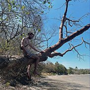 �������, 36 ���, ����