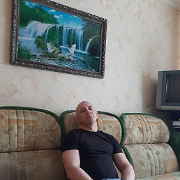 , 44, 