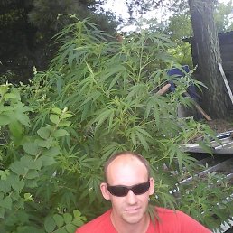 ���� �������� ��������, �����������, 43 ���� - ��������� 19 ����� 2026