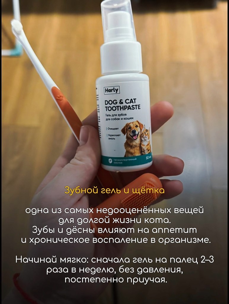 ��� �������� ��� ����-�����������, ��� ������� ��������� ����: ����, ����, ������, ������ � ��� � ... - 6