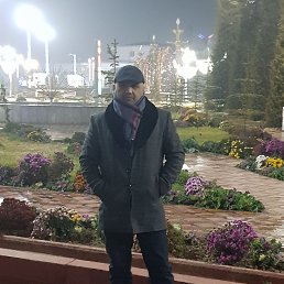 , 41, 