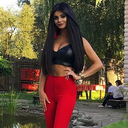 , 29, 