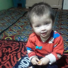 ���� �������, ������, 32 ���� - ��������� 5 ������ 2024