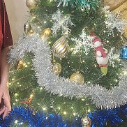 �����, 63 ����, ������