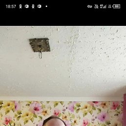  , 53, -