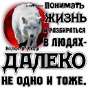 ���� ������, ������, 39 ��� - ��������� 6 ������� 2026 � ������ ���� ����������