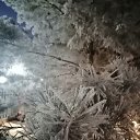 ���� ������, ������������ - ��������� 5 ������ 2026