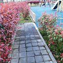 ���� *Galina*, ������, 54 ���� - ��������� 25 ������ 2026 � ������ ���� ����������