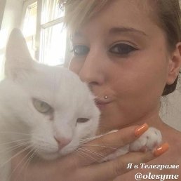 �����, �����, 24 ����