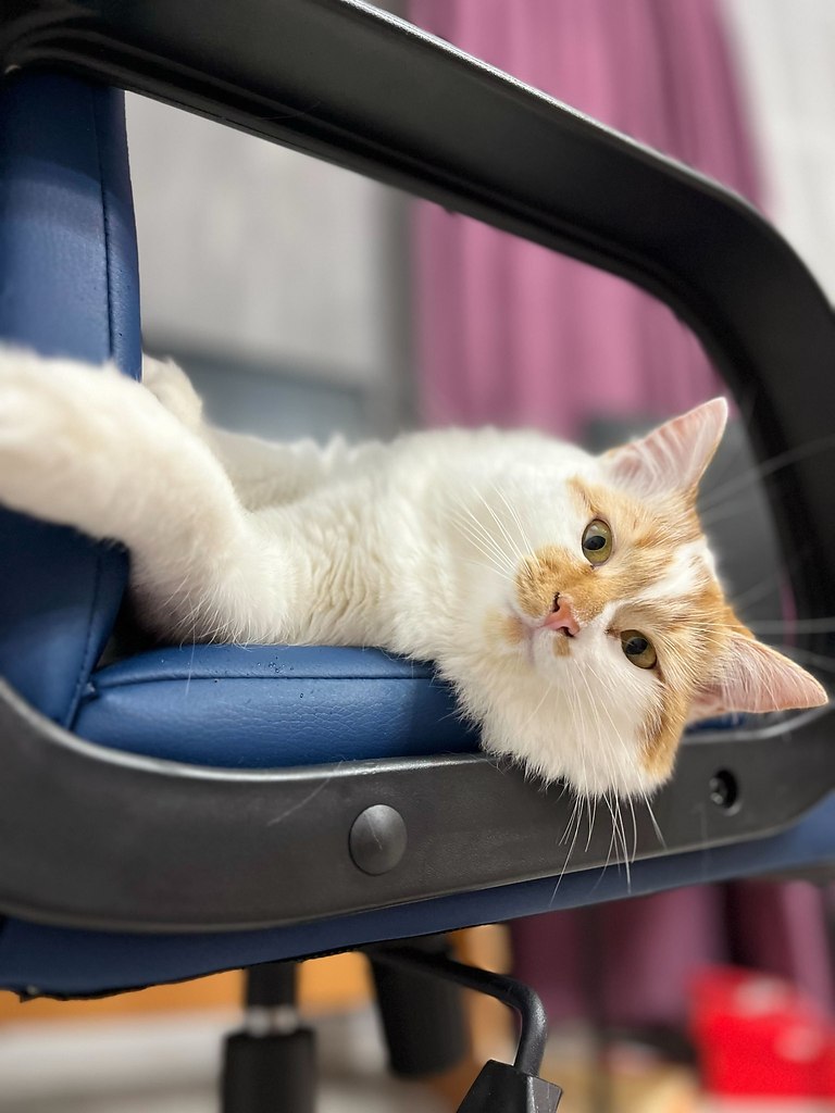 ������ ����!