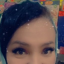 �����, 41 ���, ���������