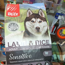 �����, �������, 57 ���