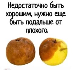 ��� ���� - 13 ������� 2025 � 11:34