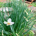 ���� ������, �����������, 55 ��� - ��������� 10 ��� 2025 � ������ ���� ����������