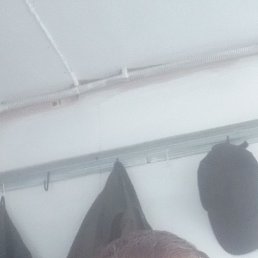 , 47 , 