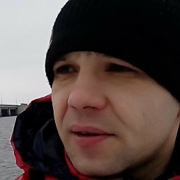 ������, ����, 41 ���