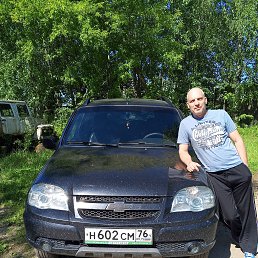 �����, 53 ����, ���������