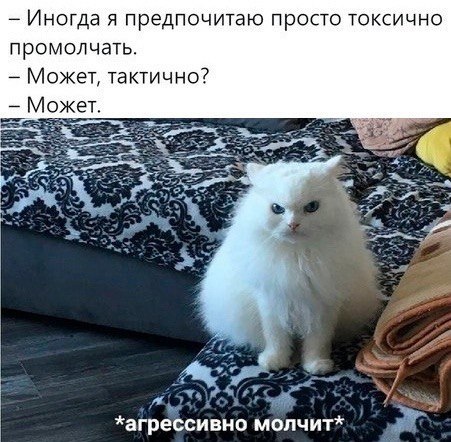    - 9  2024  20:42