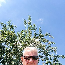 ������, ������, 55 ���