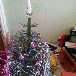 ���� �����, �������, 39 ��� - ��������� 3 ������ 2026