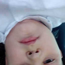 ����, ������, 35 ���