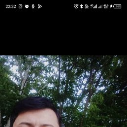 , 30, 