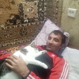 �������, �����, 52 ����