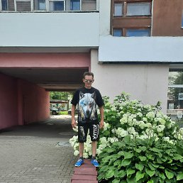 ������, �����, 51 ���