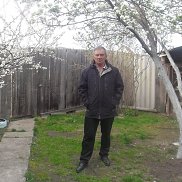 �����, 68 ���, ������