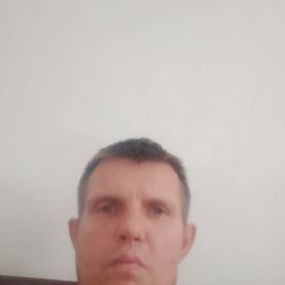 , 48 , 