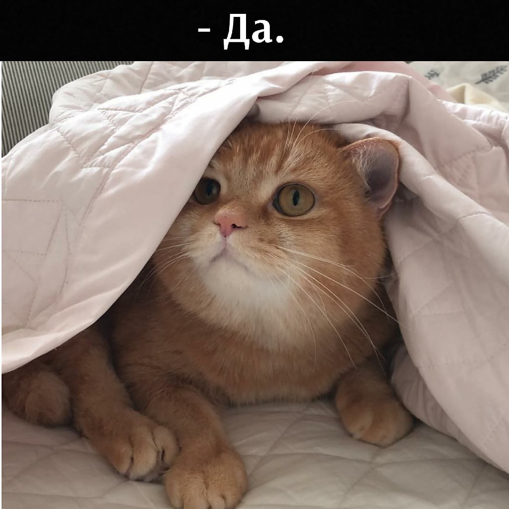��� ���� � ����� �� �� - 17 ����� 2026 � 17:00 - 2
